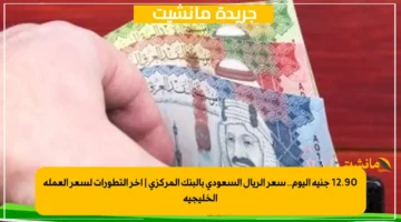 12.90 جنيه اليوم.. سعر الريال السعودي بالبنك المركزي آخر التطورات لسعر العملة الخليجية 1